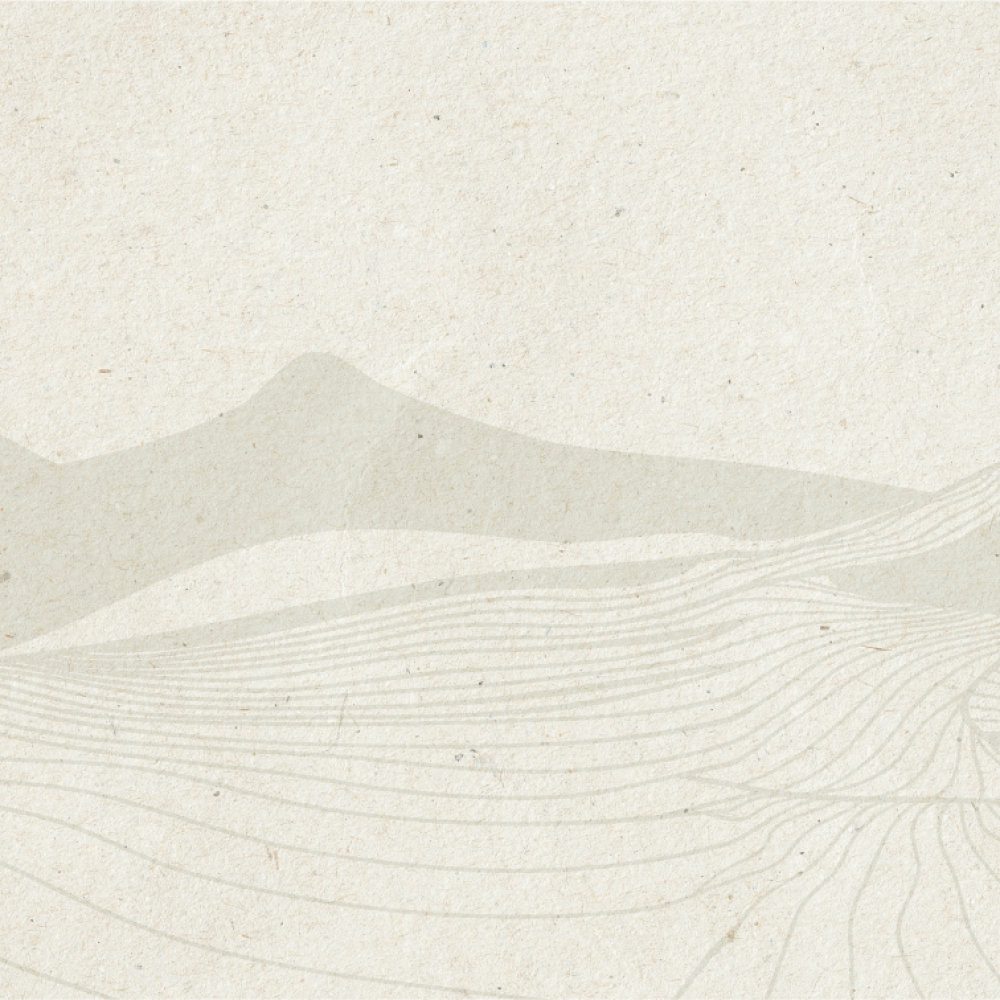 alex-the-great-hemp-cbd-oil-cbd-drops-1